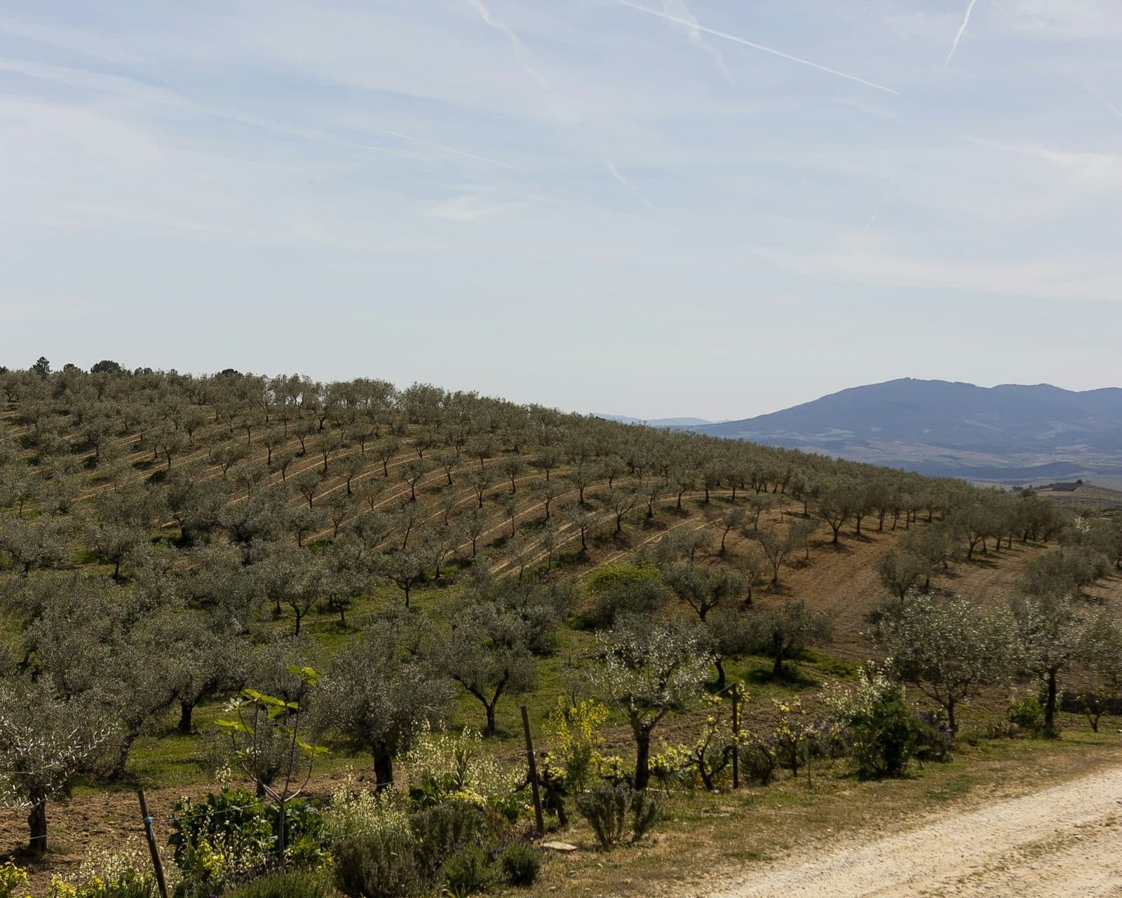 Lo spazio come possibilità